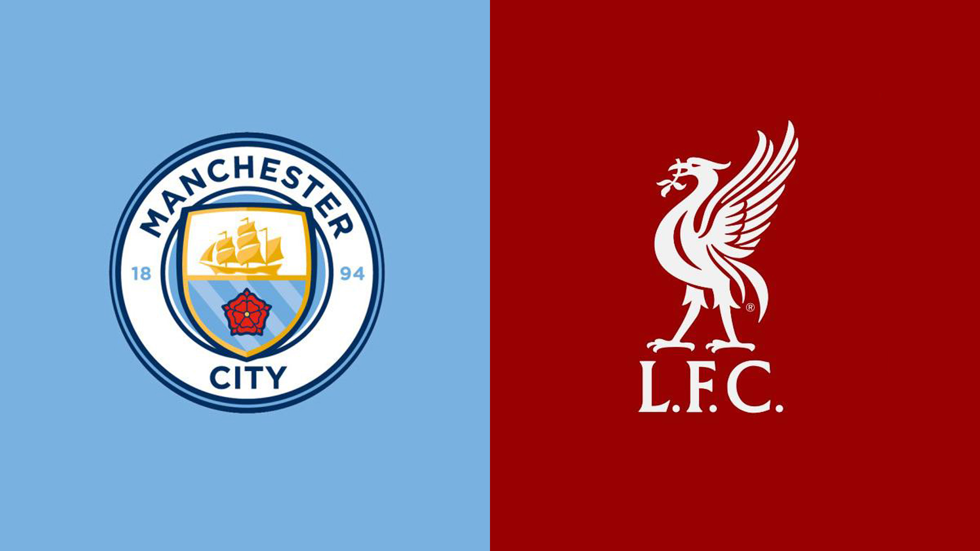 迷振奋不已 迷振奋不已